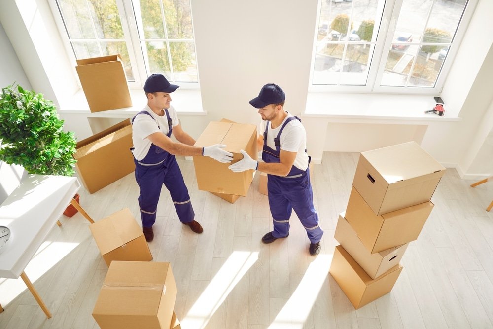 During,Relocation,Or,Delivery,,Two,Movers,Are,Seen,Carrying,Boxes
